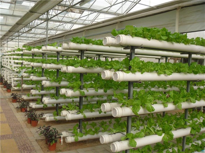 乌鲁木齐市温室大棚种植槽 - 一站式服务