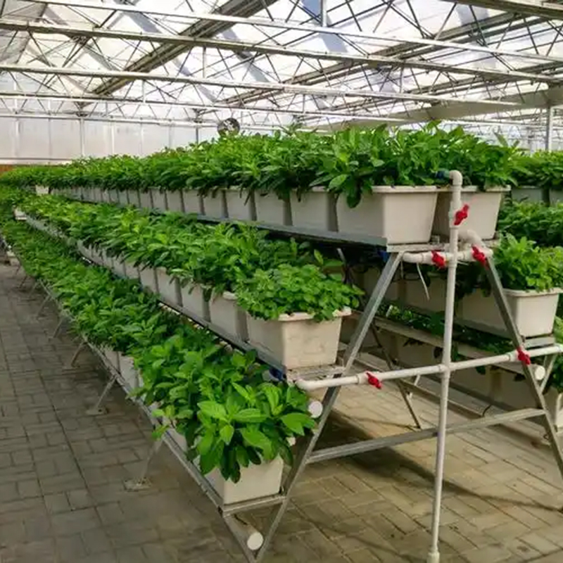 乌鲁木齐市植物工厂无土栽培 - 哪里好