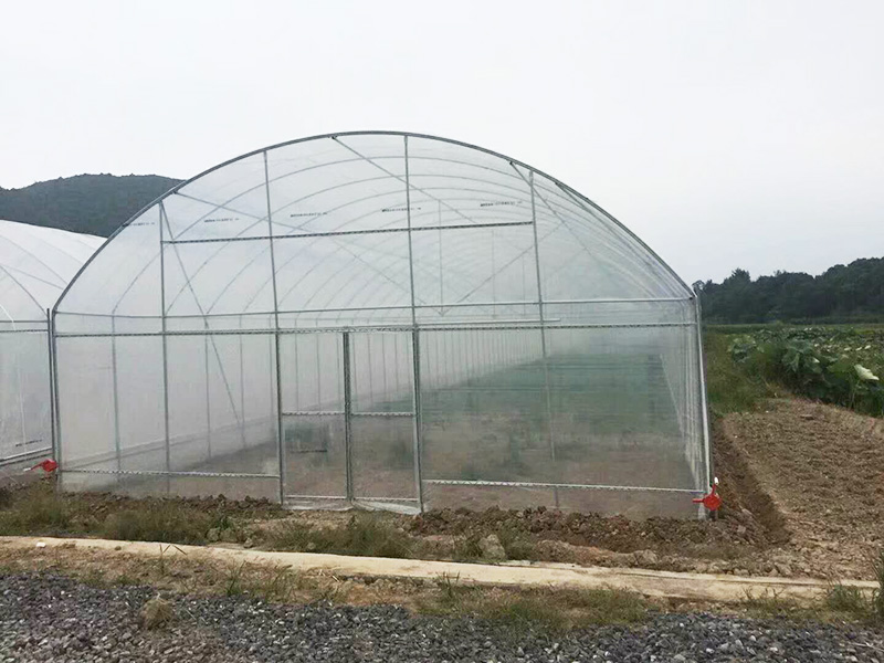 乌鲁木齐市薄膜大棚大棚 - 厂家